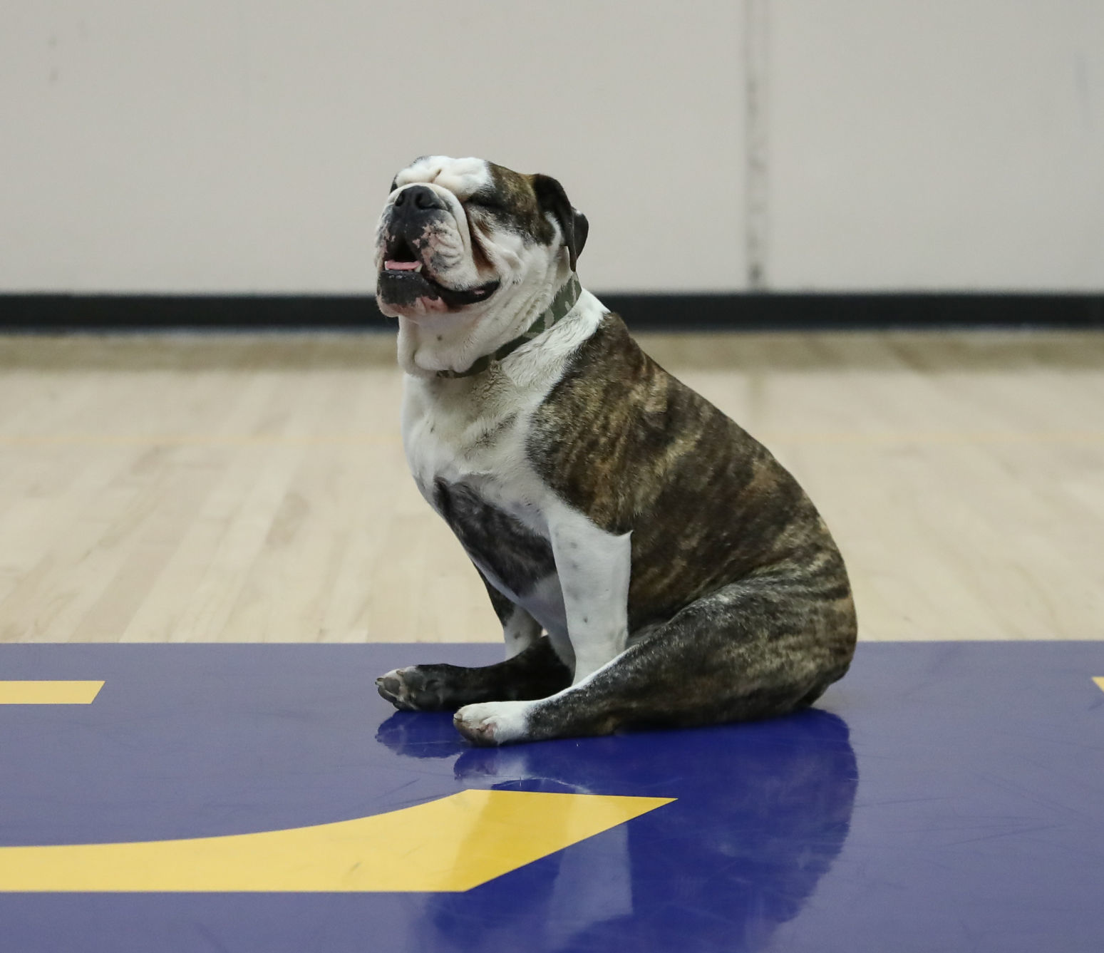 120619 Hancock Womens Bball 18.jpg